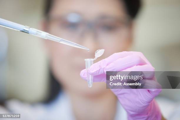 laboratory technician uses micro-pipette - medical glove stock pictures, royalty-free photos & images