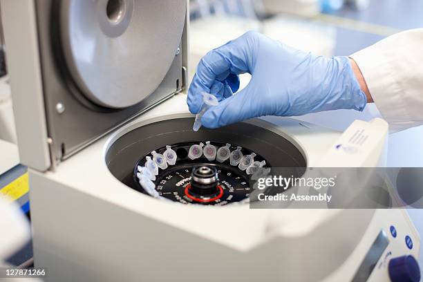 lab technician puts samples into centrifuge - centrifugal force fotografías e imágenes de stock