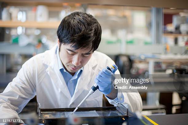 laboratory technician uses micro-pipette - dna test stock pictures, royalty-free photos & images