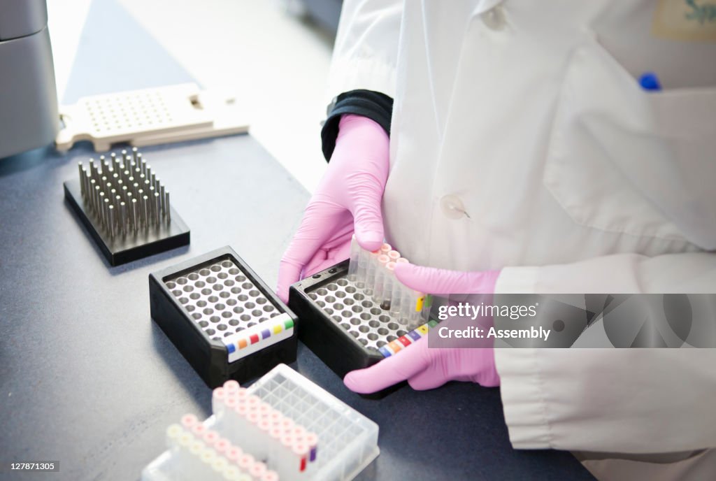 Laboratory technician inserts test tubes into tray