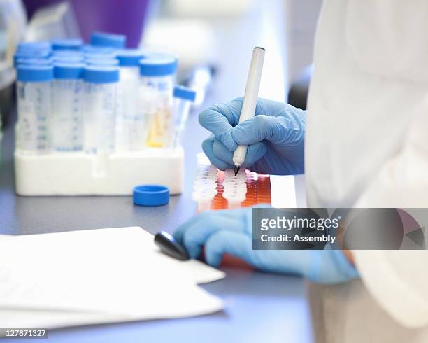 laboratory technician marking lab samples - oncology bildbanksfoton och bilder