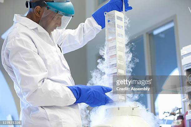 lab technician pulls samples from liquid nitrogen - liquid nitrogen stock pictures, royalty-free photos & images