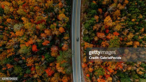 aerial view of the mountains in autumn with the foliage - adirondack mountains stock pictures, royalty-free photos & images