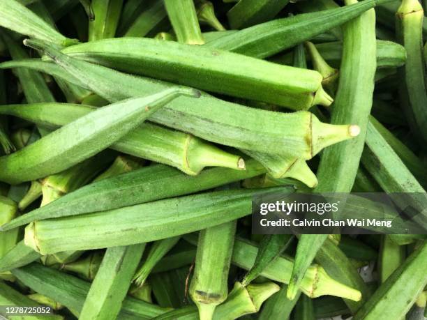 organic okra aka ladies' fingers vegetables - okra stock-fotos und bilder