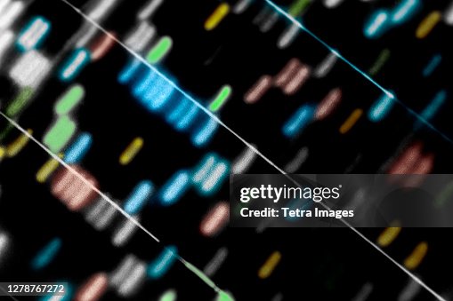 Colorful Sequences Multicolored Sequence Chart On Black Background High-Res Stock Photo ...