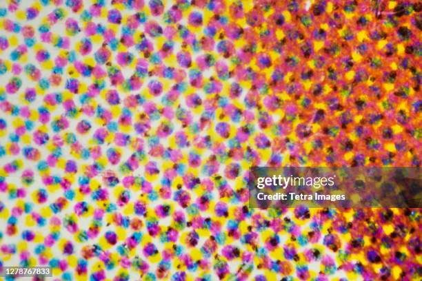 microscopic view of cmyk printer dots - tetra images stock-fotos und bilder