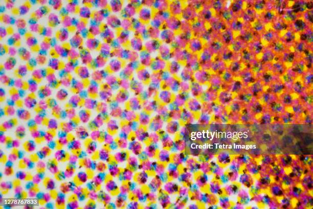 microscopic view of cmyk printer dots - cmyk foto e immagini stock