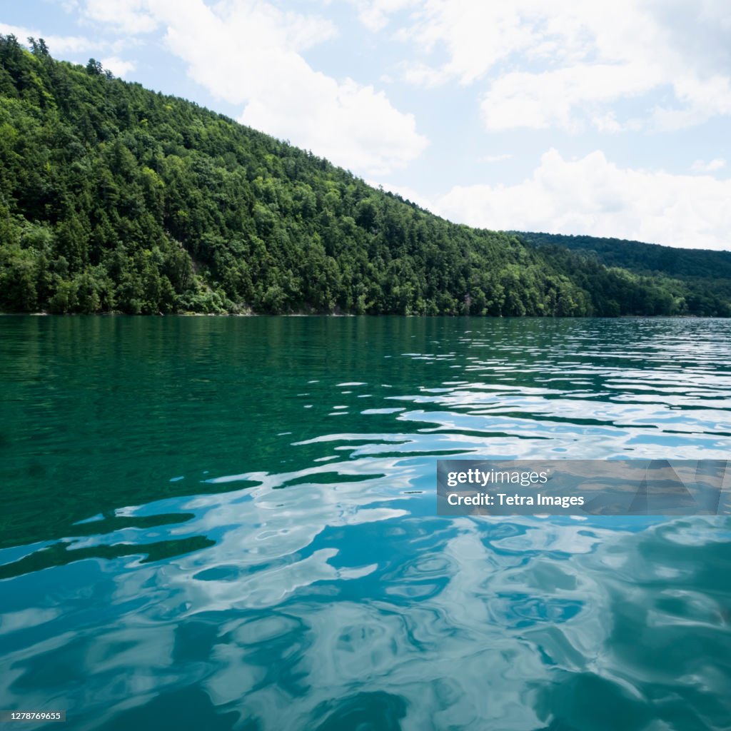 USA, New York, Cooperstown, Otsego Lake, Hill covered with forest at lakeside