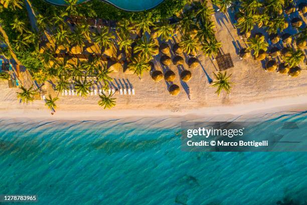 idyllic tropical beach. overhead view. - tropical pattern stock-fotos und bilder