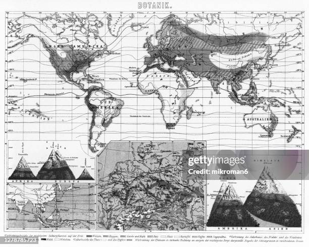 old map of distribution areas of the most important crops on earth - world history stock pictures, royalty-free photos & images