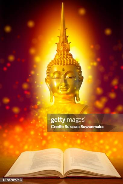 the lord buddha meditated gracefully on a lotus flower with an orange background. (about buddhism) - cultura hindú stock pictures, royalty-free photos & images