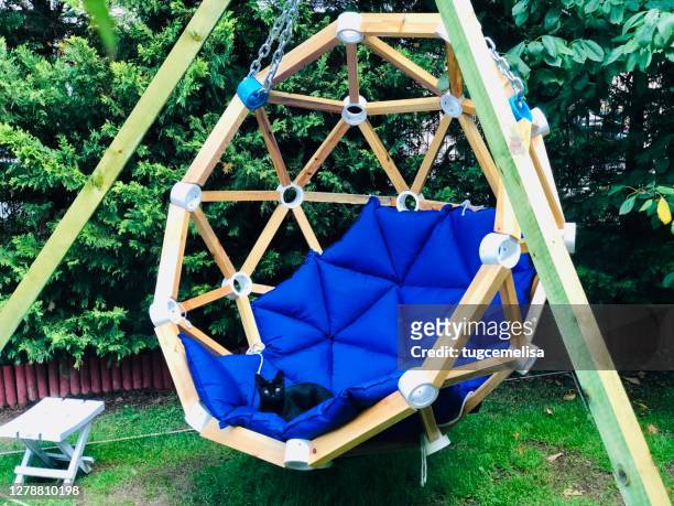 a black cat is sitting on the wooden geodesic chair at the house’s garden - geodetisk kupol bildbanksfoton och bilder