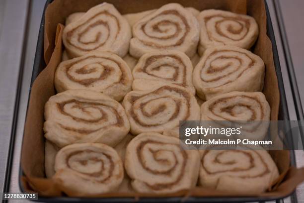 cinnamon buns rising (proving) before baking - kanelbullar - coffee cake stock pictures, royalty-free photos & images