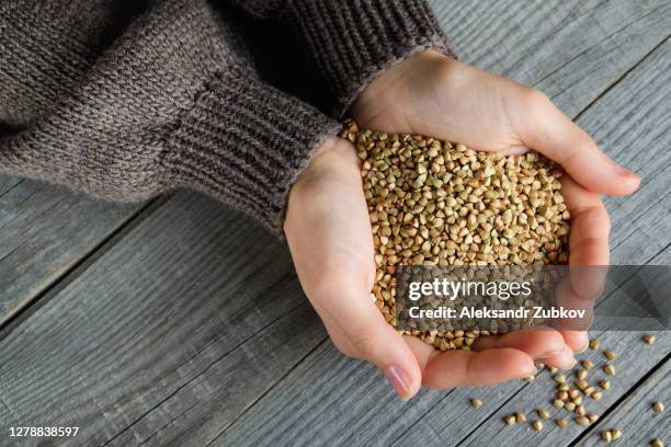 green buckwheat is poured into the girl's palm, against the background of a wooden table. the woman holds in the hands of a non-roasted buckwheat for sprouting. - demonstration against non vegetarian diet stock pictures, royalty-free photos & images