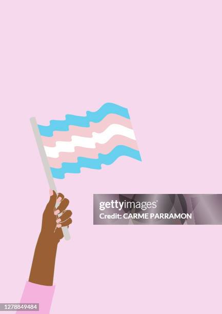 transgender flag - transgender awareness week stock illustrations