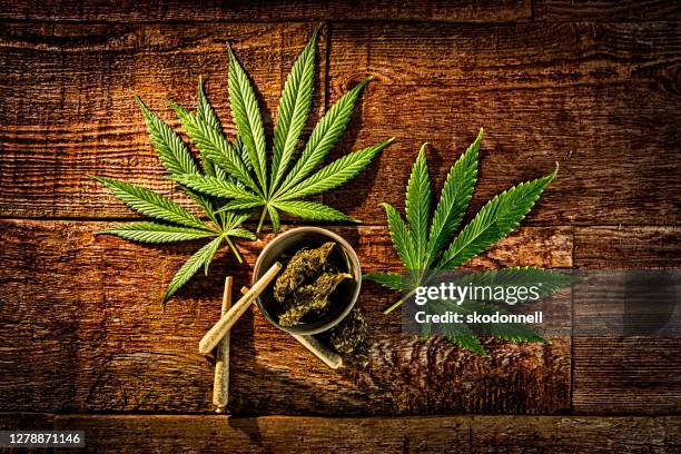 joints de cannabis usage médicinal - coffee shop photos et images de collection