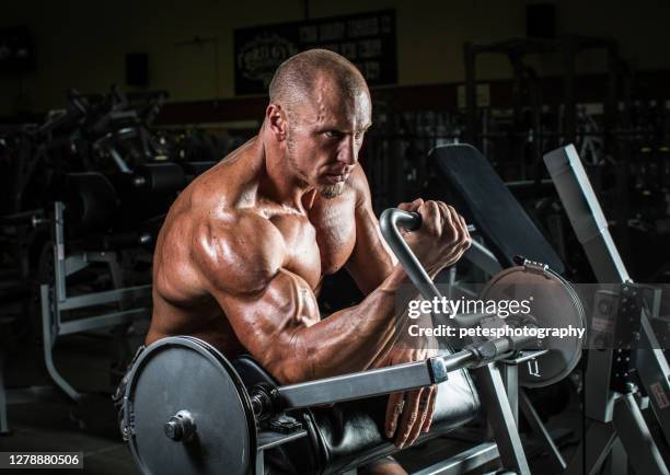 Define Ripped Ripped Body Photos and Premium High Res Pictures - Getty Images
