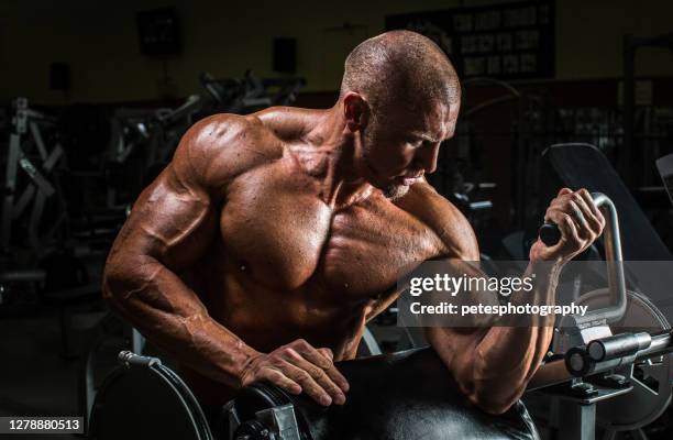 bodybuilder working out at a gym - body building stock pictures, royalty-free photos & images