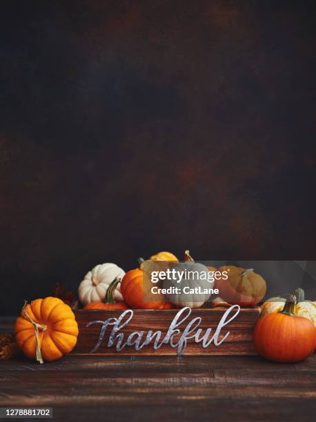pumpkin collection with thankful message for thanksgiving. fall background - thanksgiving wallpaper stock pictures, royalty-free photos & images
