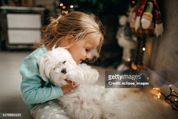 christmas is in our home - child holding toy dog stock pictures, royalty-free photos & images