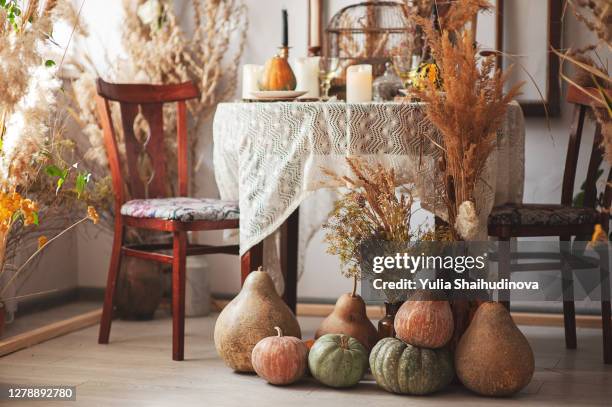 pumpkins different sizes and colours decor fall halloween - pampas stock pictures, royalty-free photos & images
