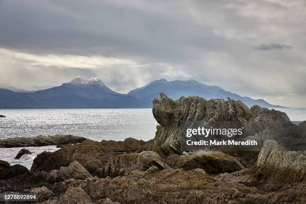 rocky kaikoura coastline - kaikoura new zealand stock pictures, royalty-free photos & images