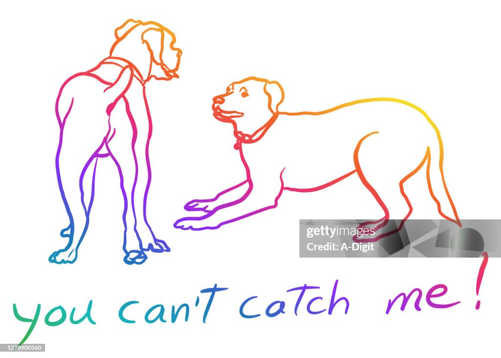 Dog Teasing Another Rainbow