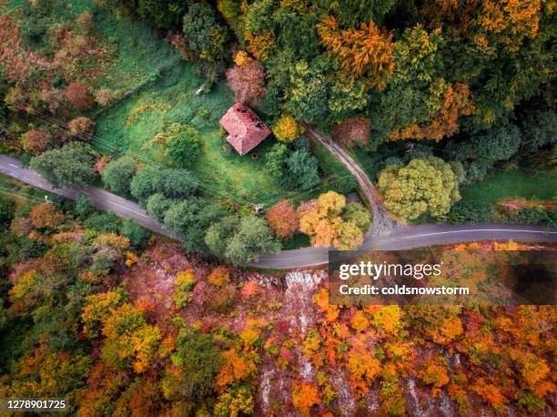 aerial drone view of country road winding through autumn forest - house remote location stock pictures, royalty-free photos & images