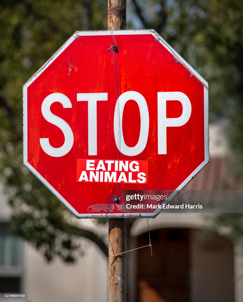 Stop Sign Eating System Stop Eating Animals Stop Sign High-Res Stock Photo - Getty Images