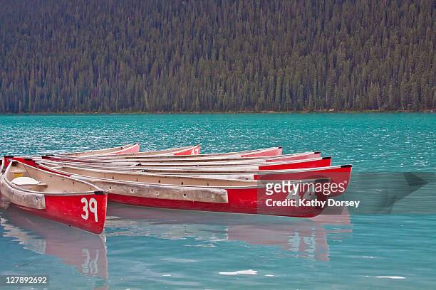 canoes on lake louise - louise dorsey 個照片及圖片檔