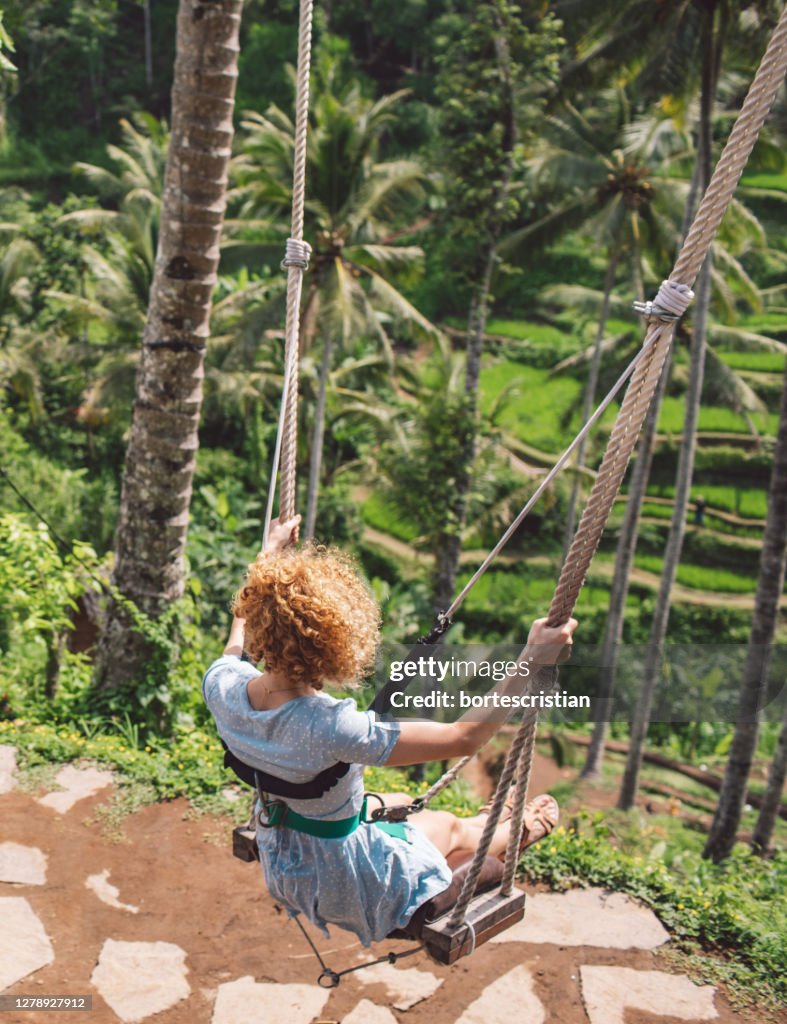 Rear View Of Girl Sitting On Swing In Forest