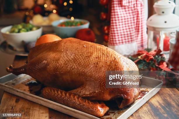 stuffed holiday goose with fruit and vegetables for christmas dinner in germany - goose meat stock pictures, royalty-free photos & images