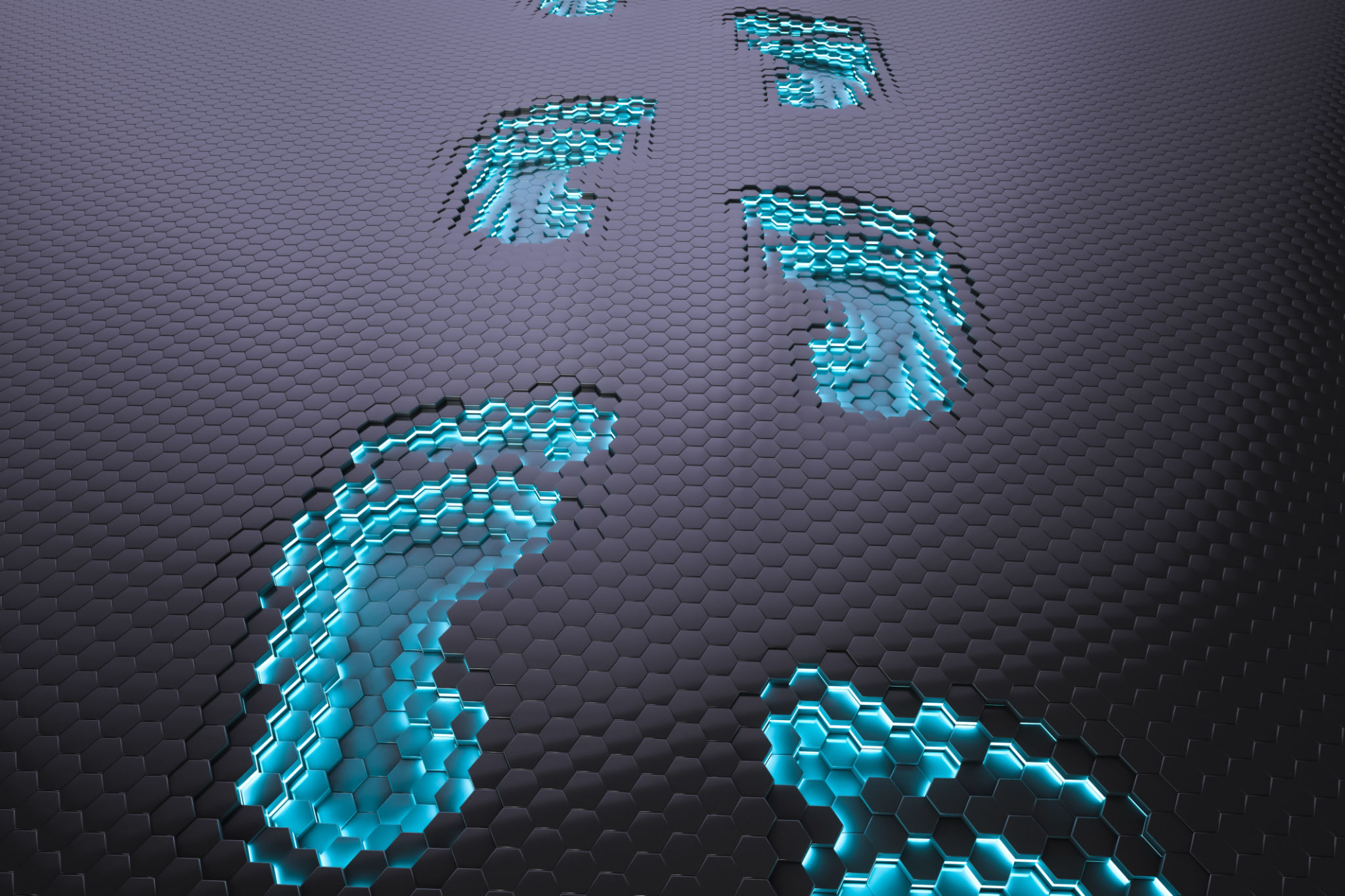 digital footprint