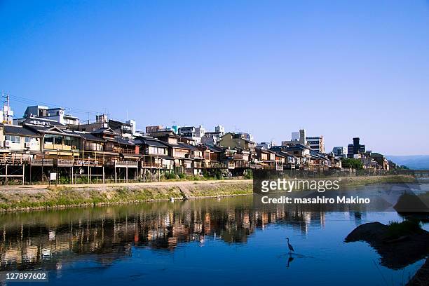 kamo river - kamo river stock pictures, royalty-free photos & images