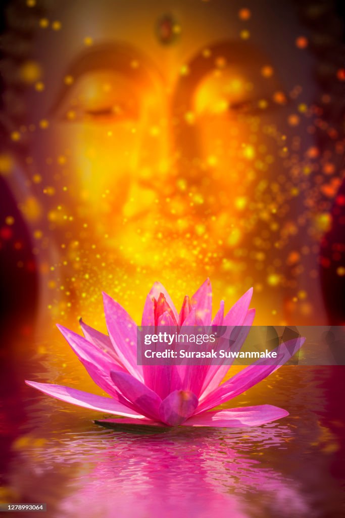 The Lord Buddha meditated gracefully on a lotus flower with an orange background. (About Buddhism)