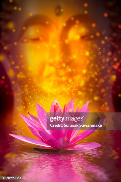 the lord buddha meditated gracefully on a lotus flower with an orange background. (about buddhism) - cultura hindú stockfoto's en -beelden