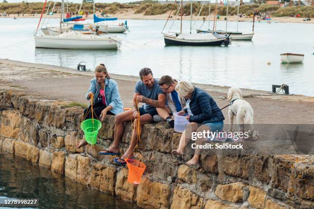 Cockapoo Fish Cockapoo Woman Photos and Premium High Res Pictures - Getty Images
