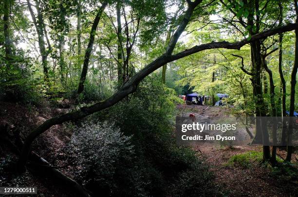 General view as HS2 protesters continue to occupy trees within the boundary of HS2 owned land in Jones Hill Wood, on October 07, 2020 in Great...