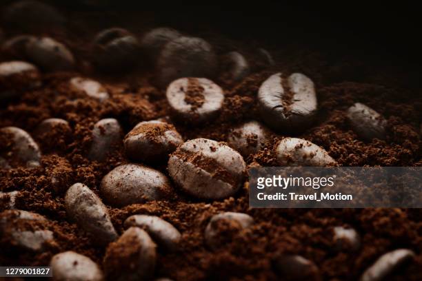 chicchi di caffè - cereal plant foto e immagini stock