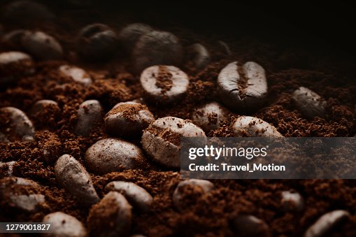 Coffee Beans Coffee Beans