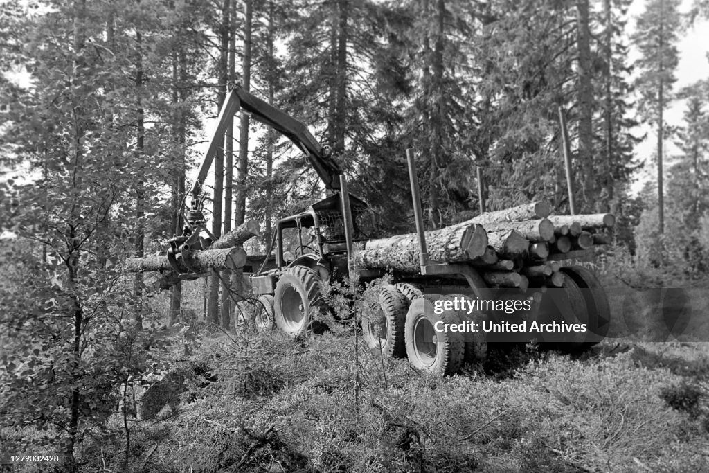 Wood Handling