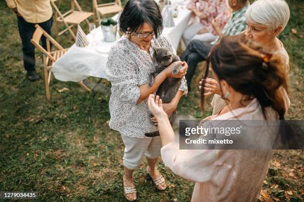 woman holding a cat at an outdoor social gathering - old lady cat stock pictures, royalty-free photos & images