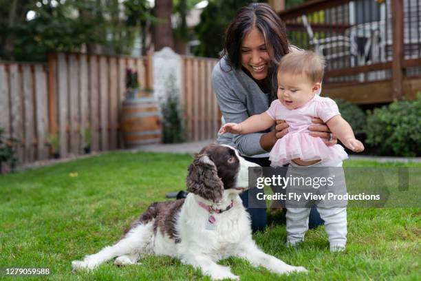 gelukkige baby die met haar mamma en huisdierenhond speelt - happy lady walking dog stockfoto's en -beelden