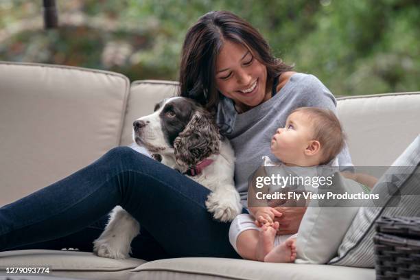 schöne eurasische frau entspannen im freien mit ihrem baby mädchen und hund - eurasische herkunft stock-fotos und bilder