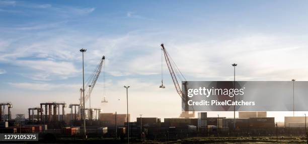 kranen en containers staan stil in commerciële dokken tijdens covid-19 reisverbod - cape town harbour stockfoto's en -beelden