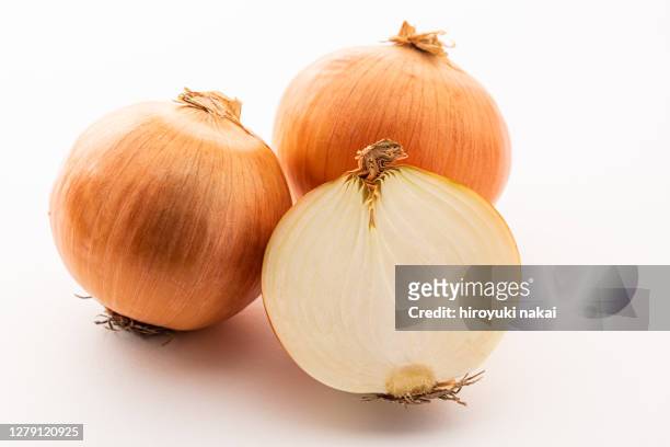 fresh onion - zwiebel stock-fotos und bilder