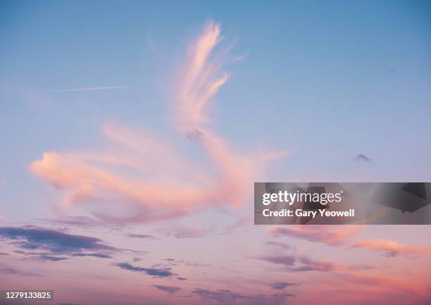 whispy clouds at sunset - pink color imagens e fotografias de stock