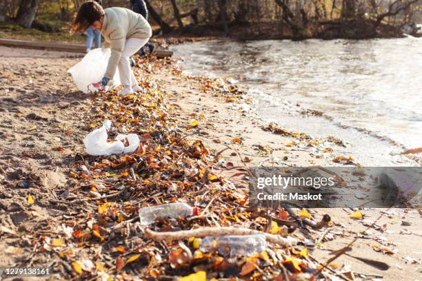 female volunteer collecting plastic garbage by lake - stockholm beach stock pictures, royalty-free photos & images