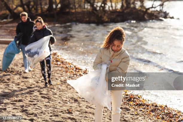 environmentalist with male and female friends collecting plastic waste by lake - stockholm beach stock pictures, royalty-free photos & images