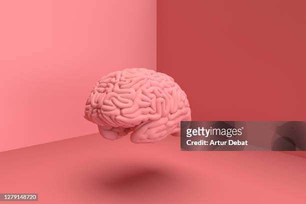 3d digital picture of human brain in solid color. - human brain stock pictures, royalty-free photos & images